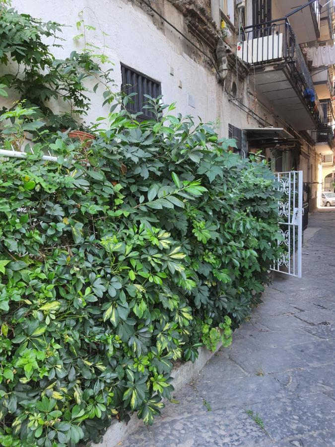 Casanova 2 Apartment Naples Exterior photo